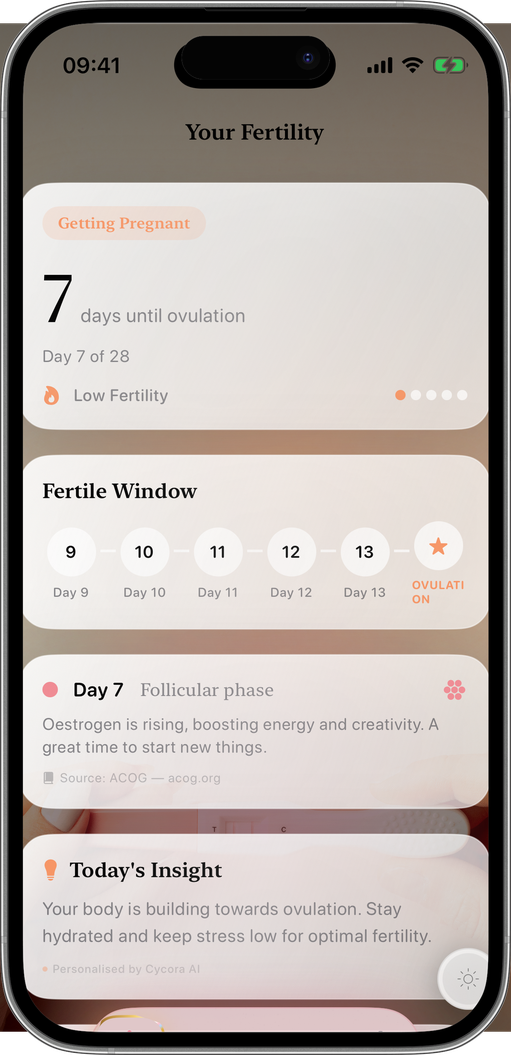 Your best chance, every day